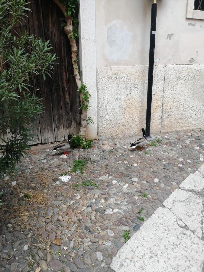 Verona Goddess House المظهر الخارجي الصورة
