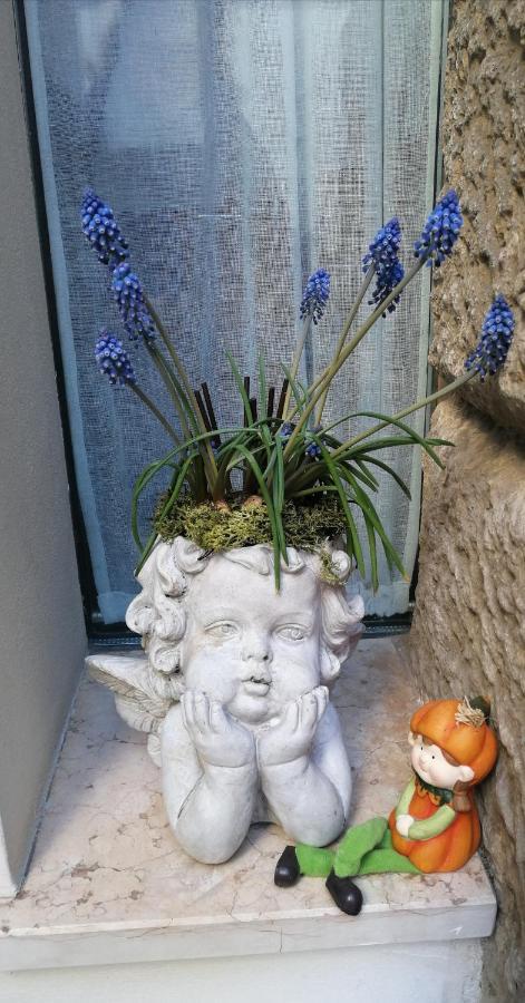 Verona Goddess House المظهر الخارجي الصورة